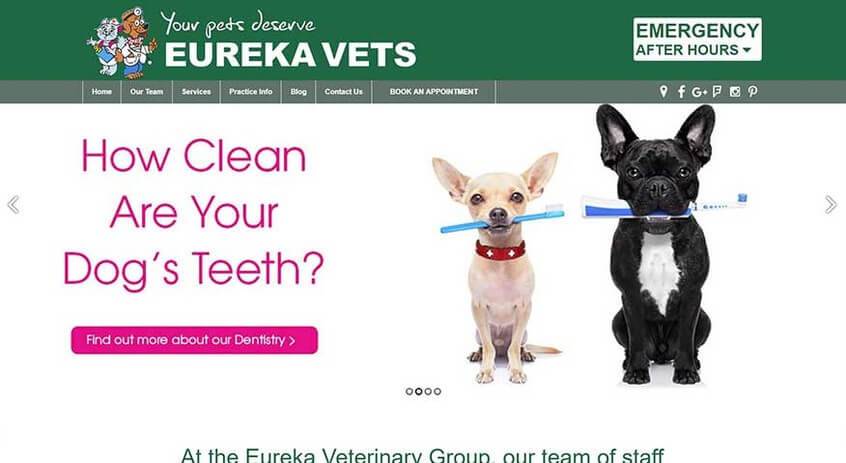 Eureka Vet